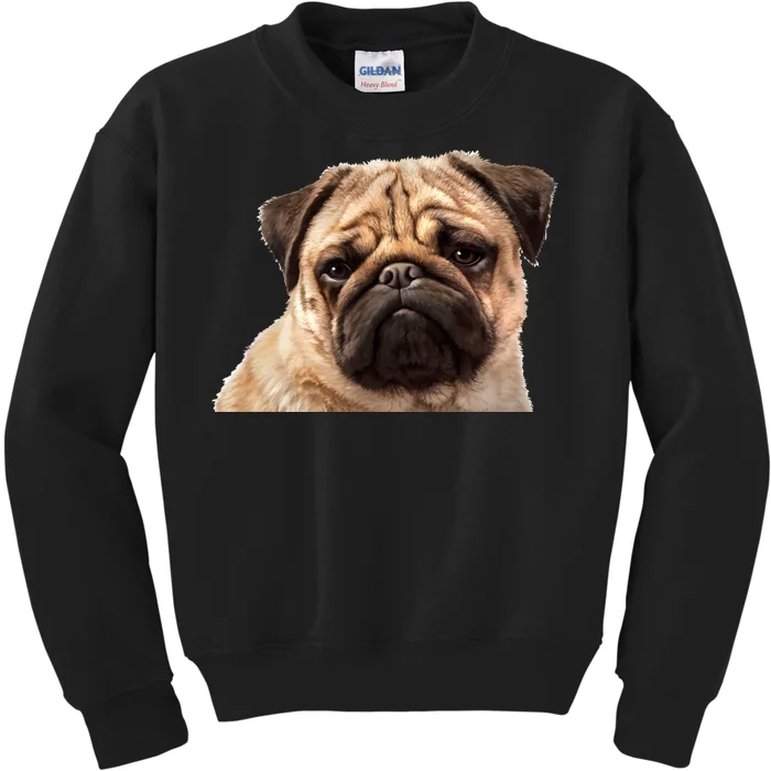 Dog - Close-Up of Pug Face Kids Sweatshirt