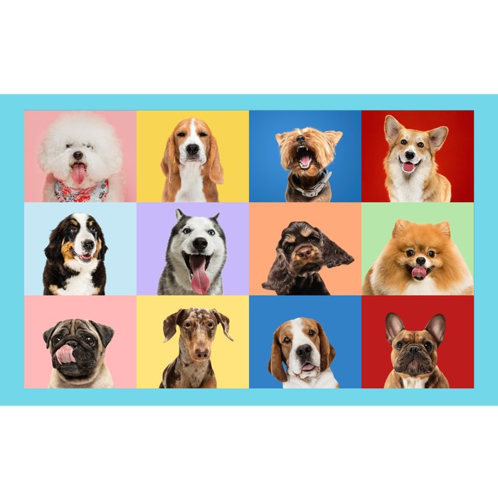 Dog Collage Bumper Sticker