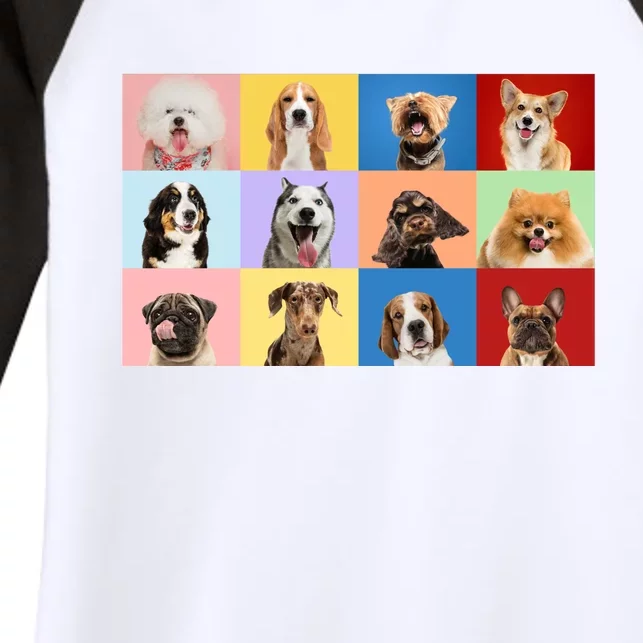 Dog Collage Women's Tri-Blend 3/4-Sleeve Raglan Shirt