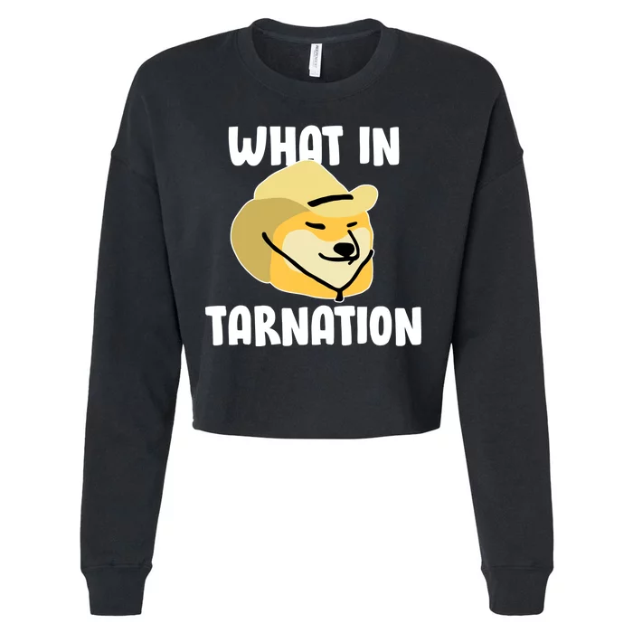 Doge What In Tarnation Cropped Pullover Crew