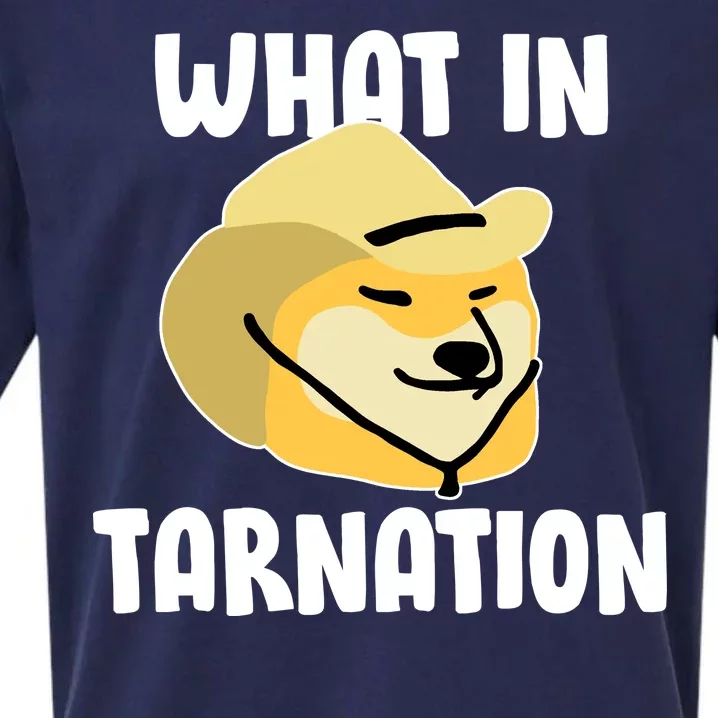 Doge What In Tarnation Sueded Cloud Jersey T-Shirt