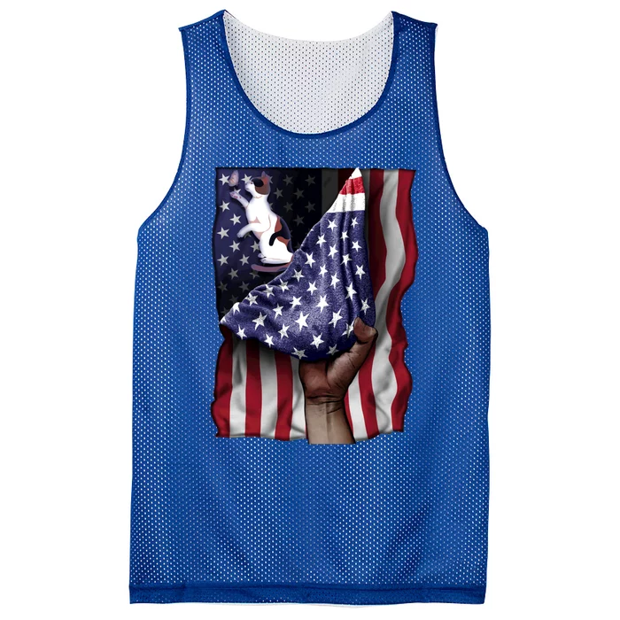 Day Of Independence Us Flag Calico Cat Gift Mesh Reversible Basketball Jersey Tank