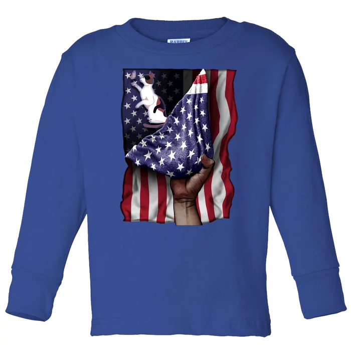 Day Of Independence Us Flag Calico Cat Gift Toddler Long Sleeve Shirt