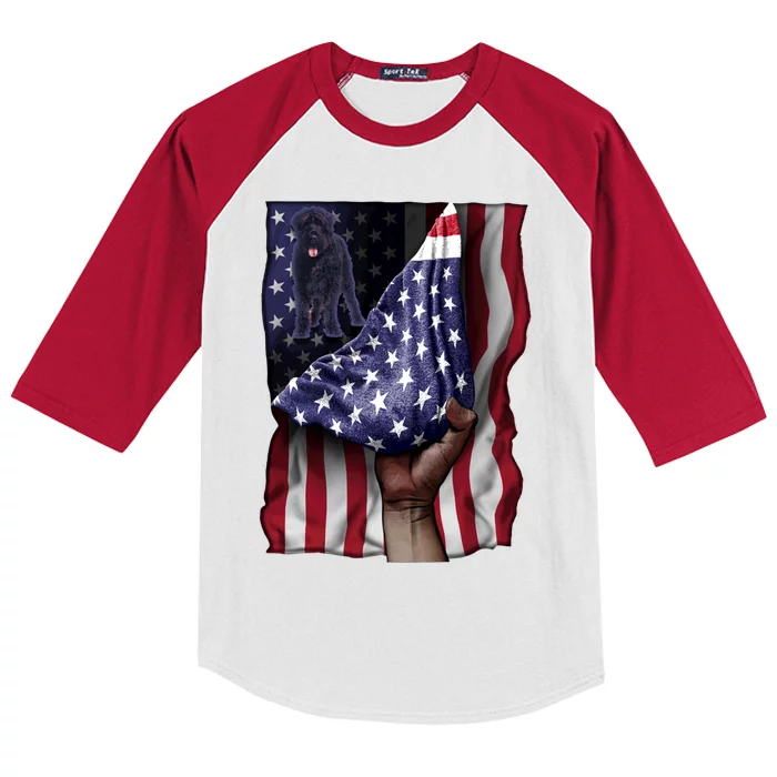 Day Of Independence Us Flag Bouvier Des Flandres Gift Kids Colorblock Raglan Jersey