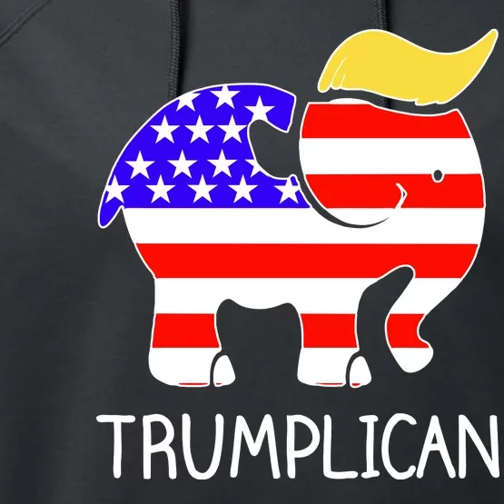 Donald Trump Trumplican 2020 Election Performance Fleece Hoodie