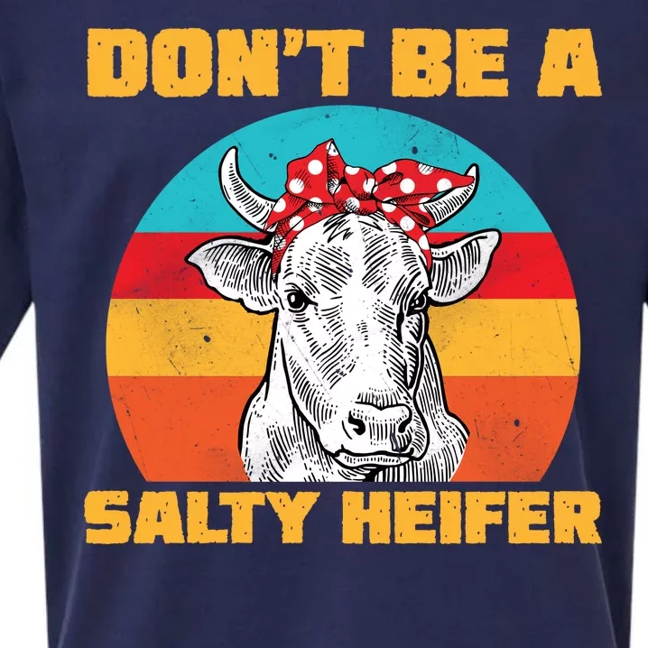 Don't Be A Salty Heifer Sueded Cloud Jersey T-Shirt