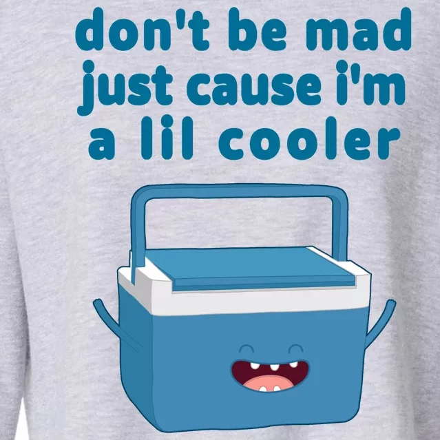 Don't Be Mad Just Cause I'm A Lil Cooler Funny Cropped Pullover Crew