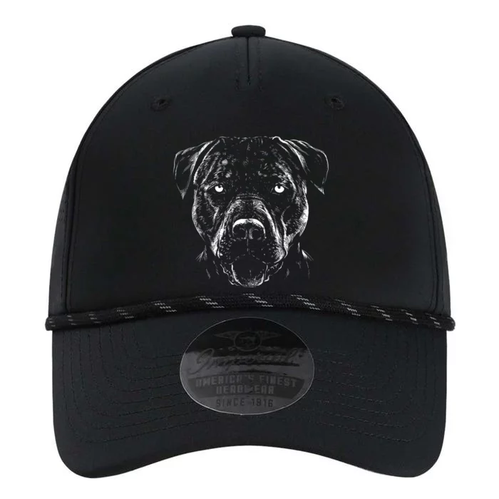 Detailed Pitbull Dog Performance The Dyno Cap