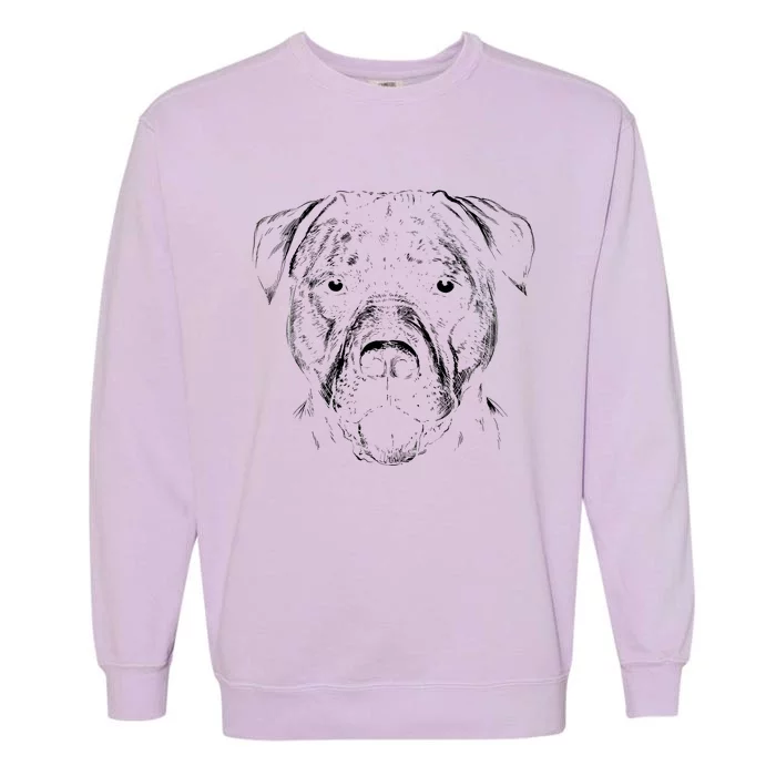 Detailed Pitbull Dog Garment-Dyed Sweatshirt