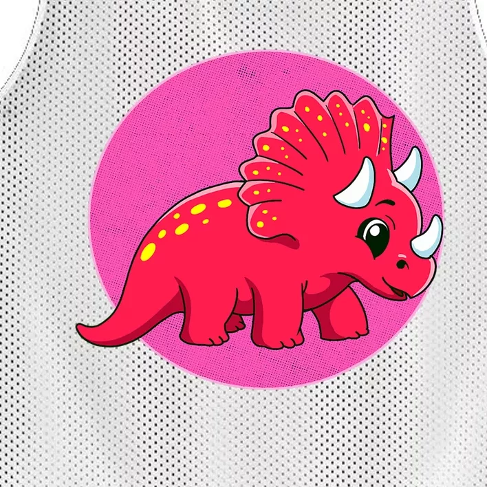 Dinosaurs Prehistoric Dinosaur For Boy And Girl Mesh Reversible Basketball Jersey Tank