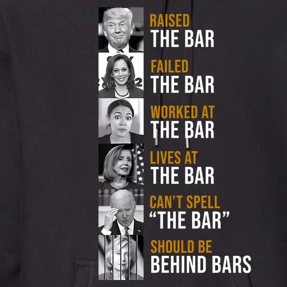 Democrat Party Funny Political Behind Bars Premium Hoodie