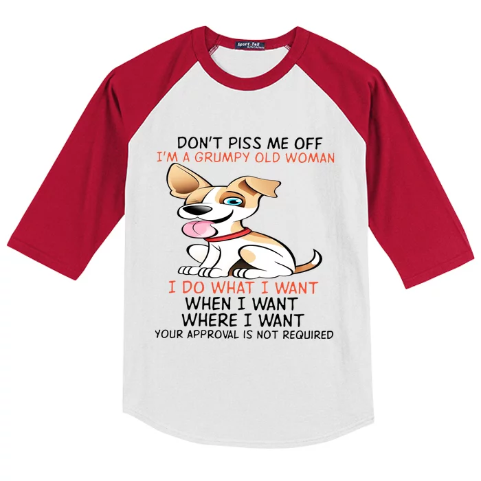 DonT Piss Me Off IM A Grumpy Old Man I Do What I Want Kids Colorblock Raglan Jersey