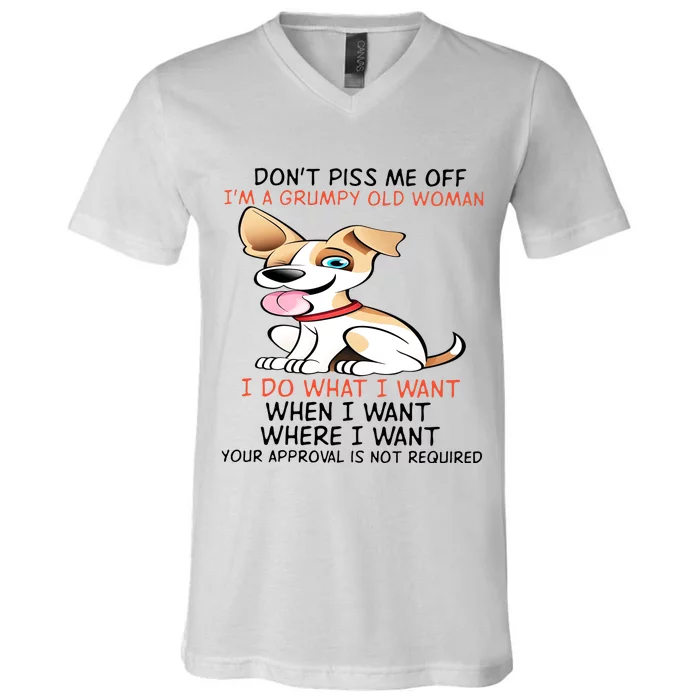 DonT Piss Me Off IM A Grumpy Old Man I Do What I Want V-Neck T-Shirt