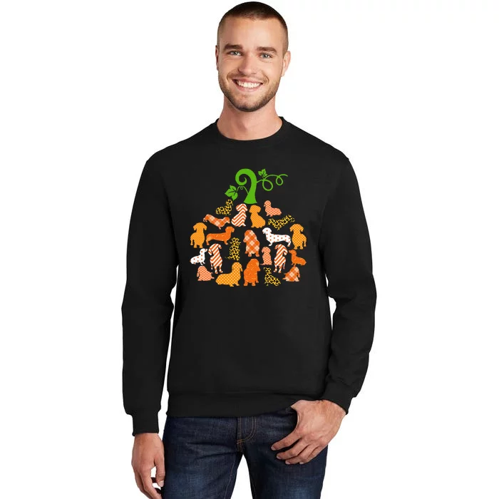 Dachshund Pumpkin Shape Plaid Leopard Dog Autumn Halloween Tall Sweatshirt