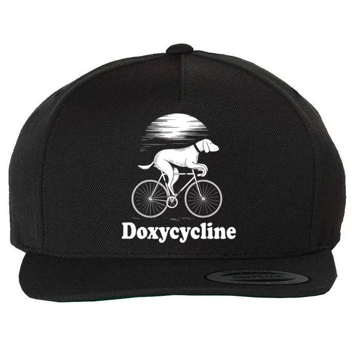 Doxycycline Pharmacist School Pharma Gift Wool Snapback Cap