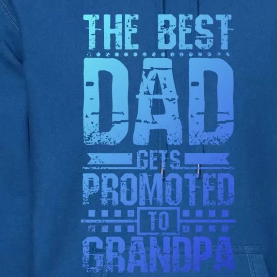 Dad Promoted To Grandpa With Dad Grandpa Funny Gift Premium Hoodie