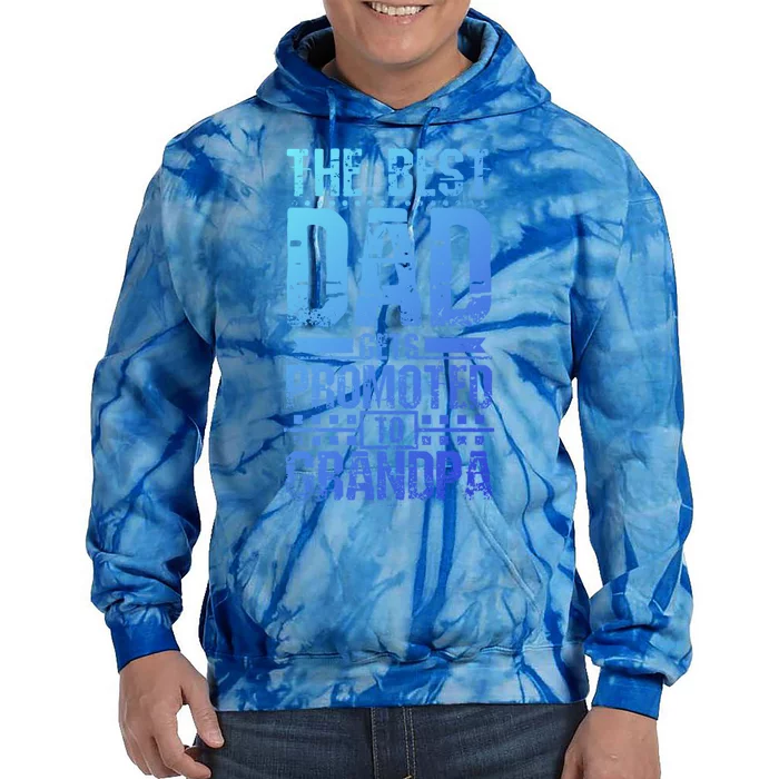 Dad Promoted To Grandpa With Dad Grandpa Funny Gift Tie Dye Hoodie