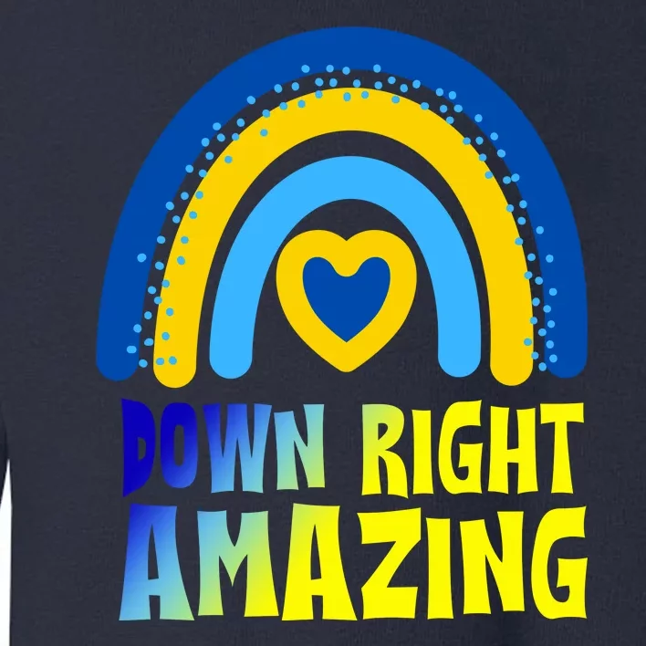 Down Right Amazing Rainbow Down Syndrome Awareness Toddler Sweatshirt