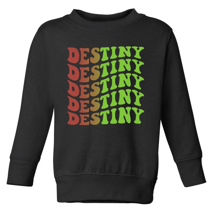 Destiny Retro Christmas Inspirational Toddler Sweatshirt