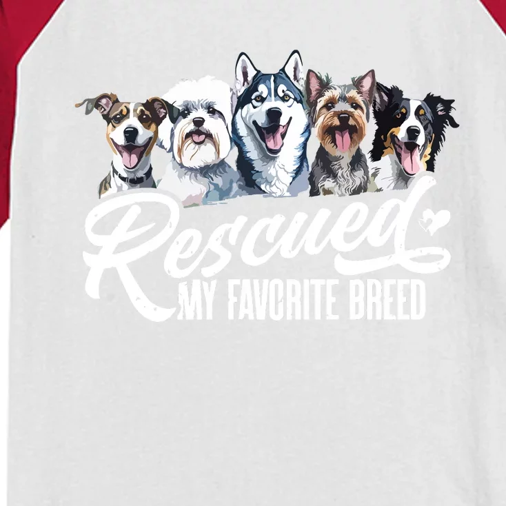 Dog Rescue Dog Dog Adoption Adopted Dog Dog Lover Kids Colorblock Raglan Jersey