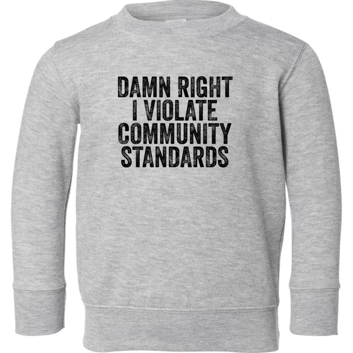 Damn Right I Violate Community Standards Toddler Sweatshirt