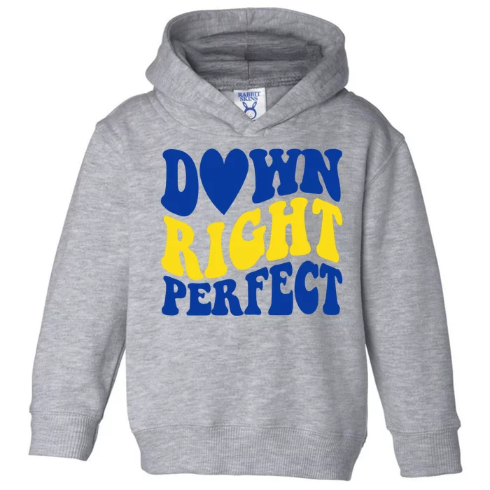 Down Right Perfect Down Syndrome Awareness Toddler Hoodie