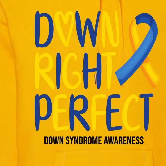 Down Right Perfect Down Syndrome Awareness Premium Hoodie