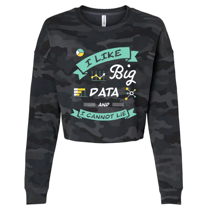 Data Scientist Analyst Machine Learning Funny Cropped Pullover Crew