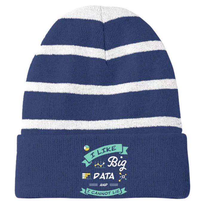 Data Scientist Analyst Machine Learning Funny Striped Beanie with Solid Band