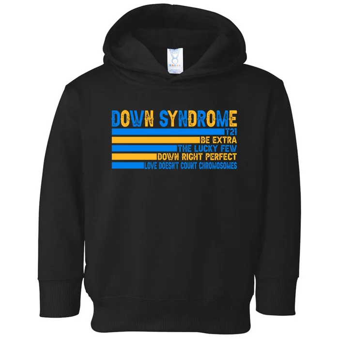 Down Syndrome Awareness Supporter Toddler Hoodie