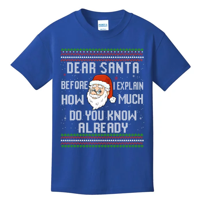 Dear Santa Before I Explain How Much Do You Know Christmas Gift Kids T-Shirt