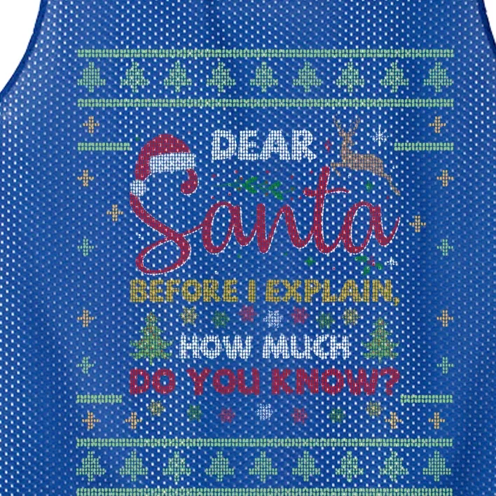 Dear Santa Before I Explain How Much Do You Know Christmas Cute Gift Mesh Reversible Basketball Jersey Tank