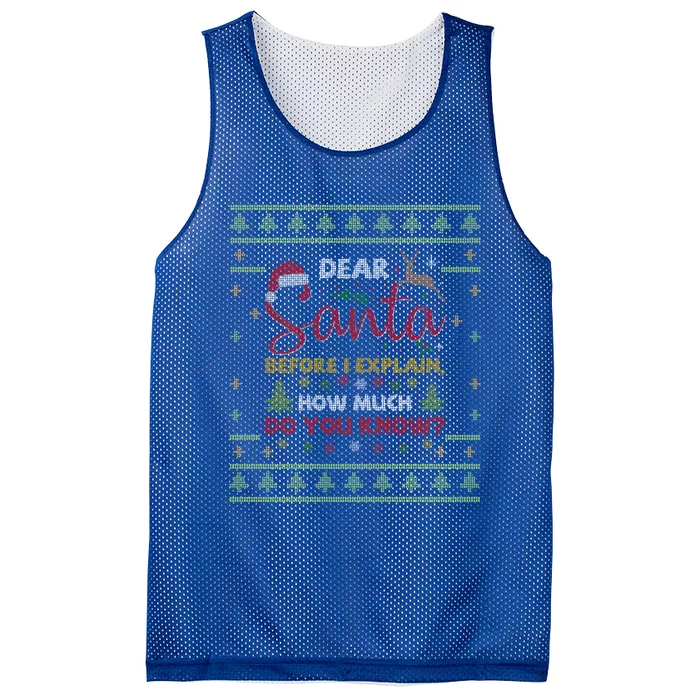 Dear Santa Before I Explain How Much Do You Know Christmas Cute Gift Mesh Reversible Basketball Jersey Tank