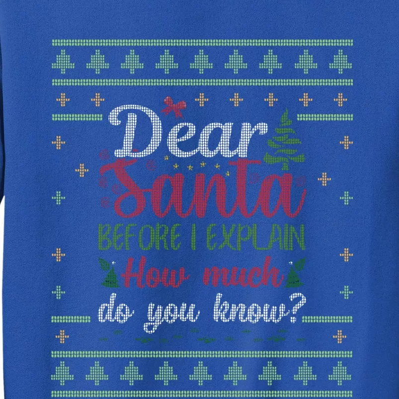 Dear Santa Before I Explain How Much Do You Know Christmas Gift Sweatshirt