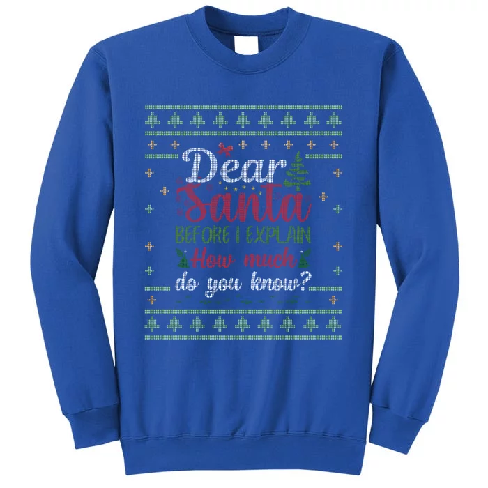 Dear Santa Before I Explain How Much Do You Know Christmas Gift Sweatshirt