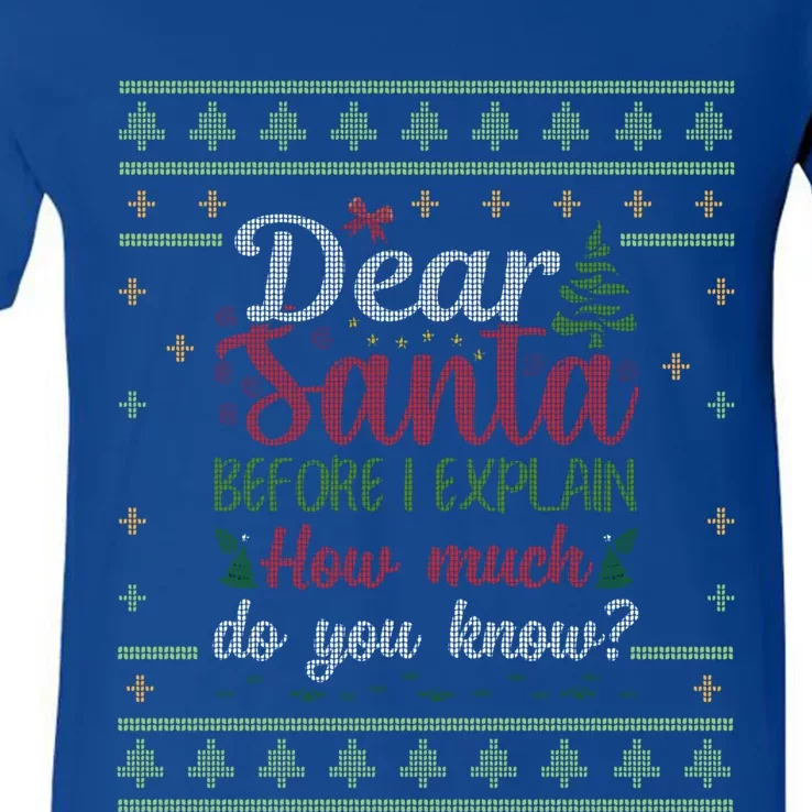 Dear Santa Before I Explain How Much Do You Know Christmas Gift V-Neck T-Shirt