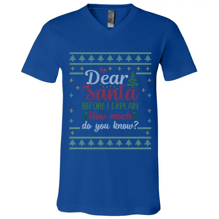 Dear Santa Before I Explain How Much Do You Know Christmas Gift V-Neck T-Shirt