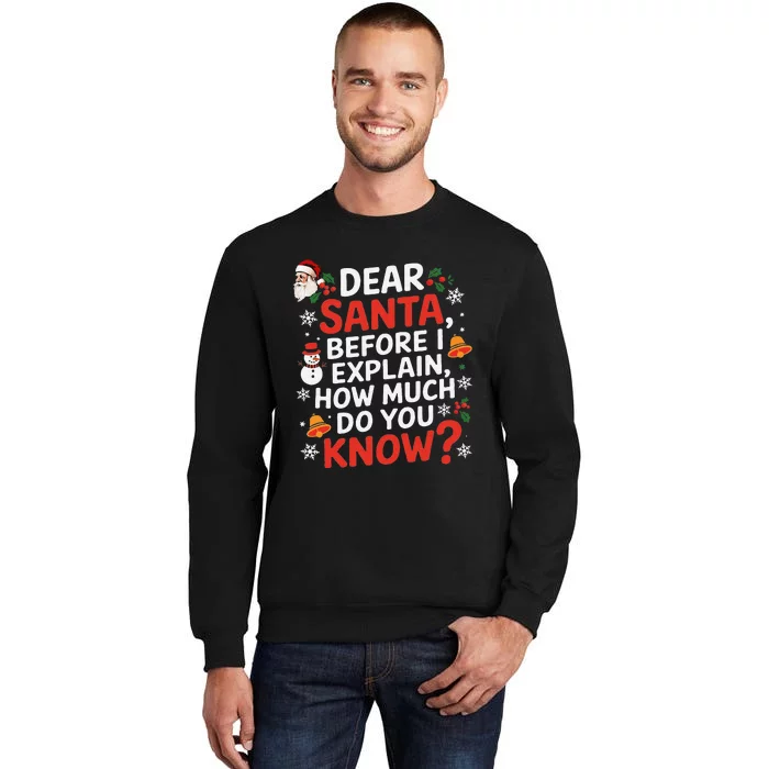 Dear Santa Before I Explain How Much Do You Know Funny Xmas Sweatshirt