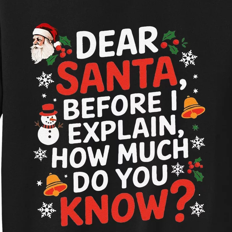 Dear Santa Before I Explain How Much Do You Know Funny Xmas Sweatshirt