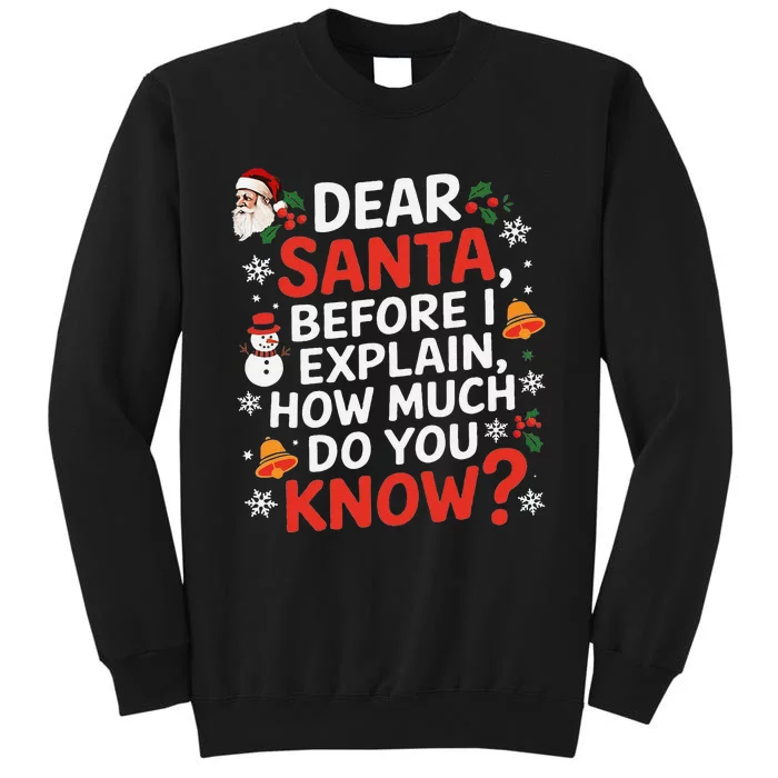 Dear Santa Before I Explain How Much Do You Know Funny Xmas Sweatshirt