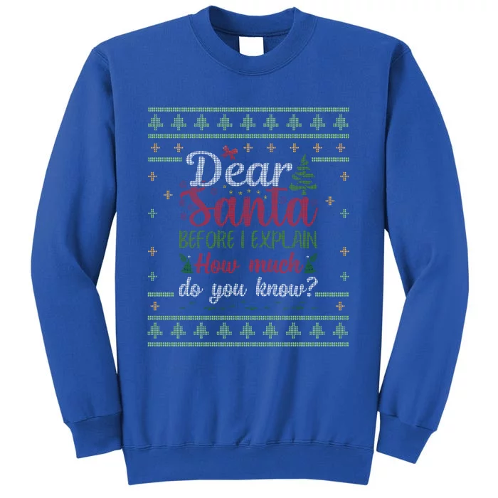 Dear Santa Before I Explain How Much Do You Know Christmas Cute Gift Sweatshirt