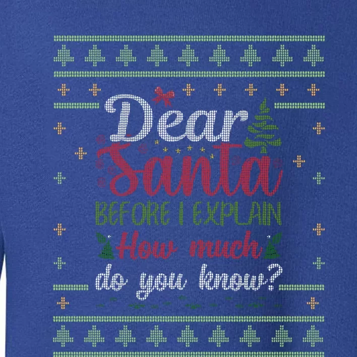 Dear Santa Before I Explain How Much Do You Know Christmas Cute Gift Toddler Sweatshirt