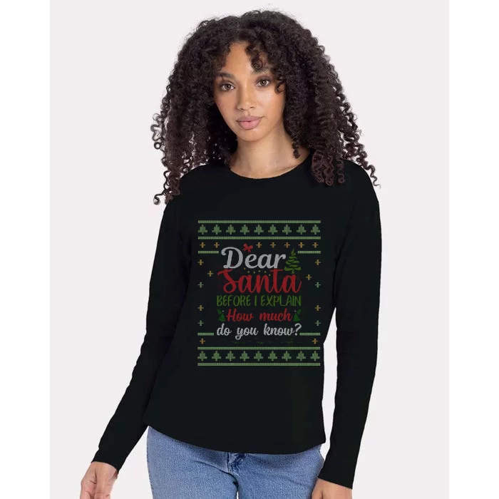 Dear Santa Before I Explain How Much Do You Know Christmas Womens Cotton Relaxed Long Sleeve T-Shirt