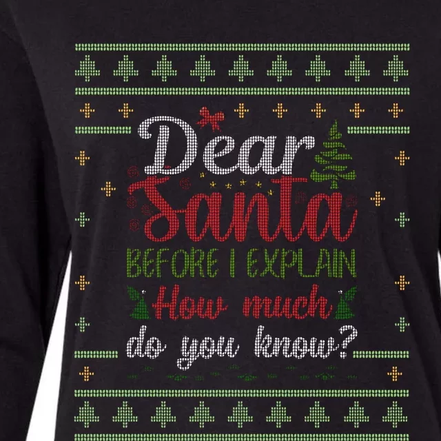 Dear Santa Before I Explain How Much Do You Know Christmas Womens Cotton Relaxed Long Sleeve T-Shirt