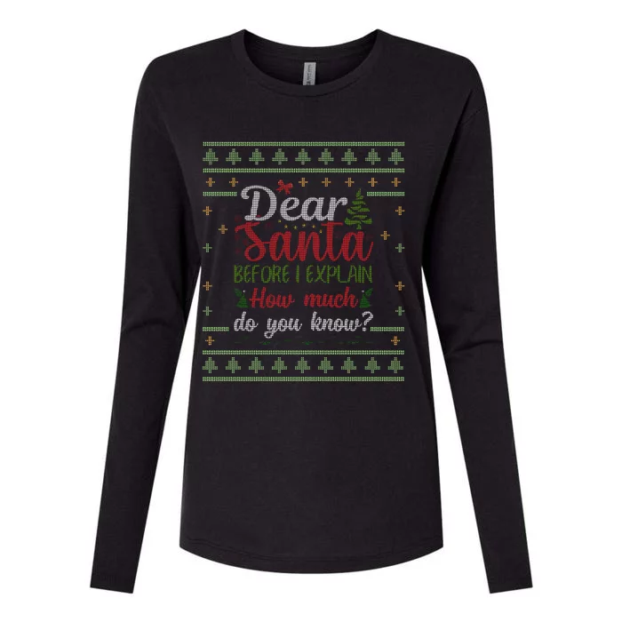 Dear Santa Before I Explain How Much Do You Know Christmas Womens Cotton Relaxed Long Sleeve T-Shirt