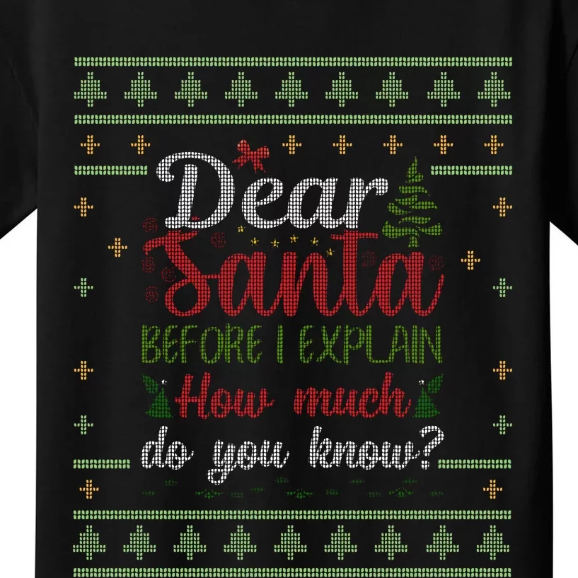 Dear Santa Before I Explain How Much Do You Know Christmas Kids T-Shirt