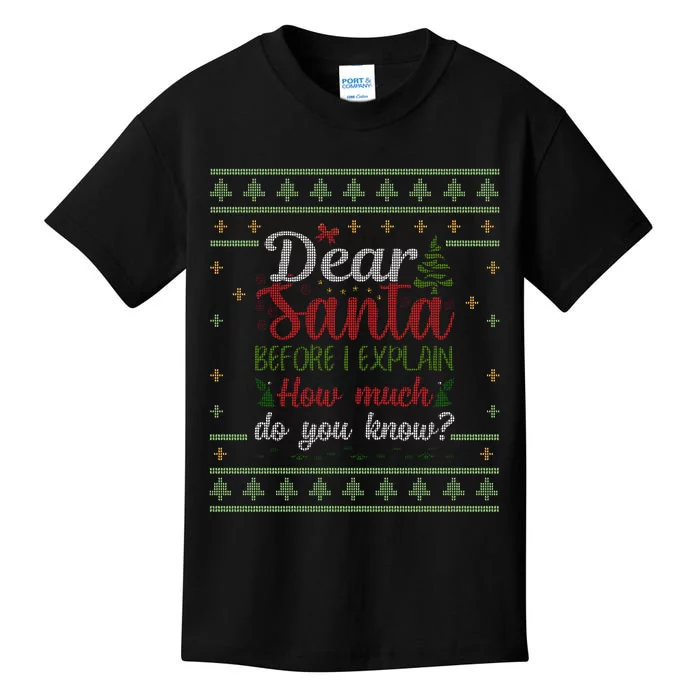 Dear Santa Before I Explain How Much Do You Know Christmas Kids T-Shirt