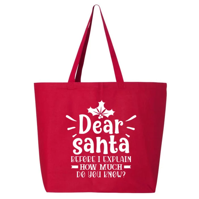 Dear Santa Before I Explain 25L Jumbo Tote