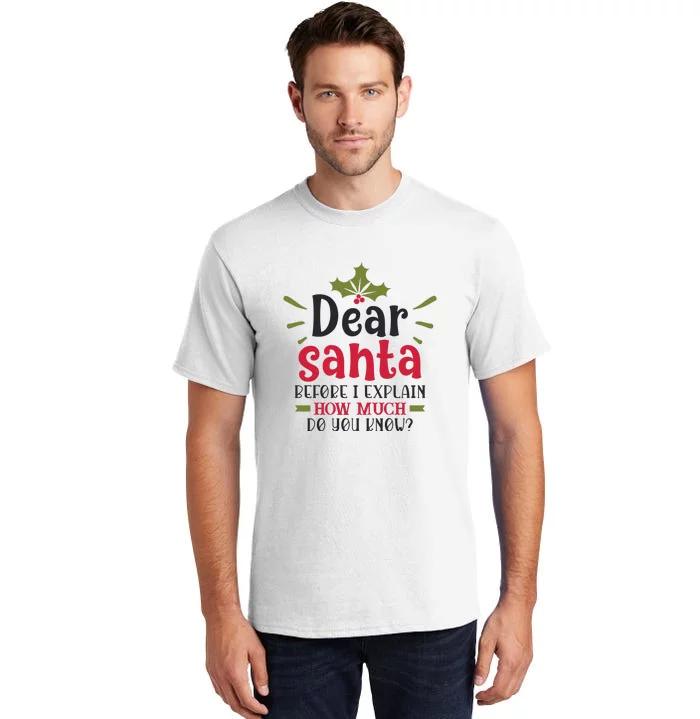 Dear Santa Before I Explain Tall T-Shirt