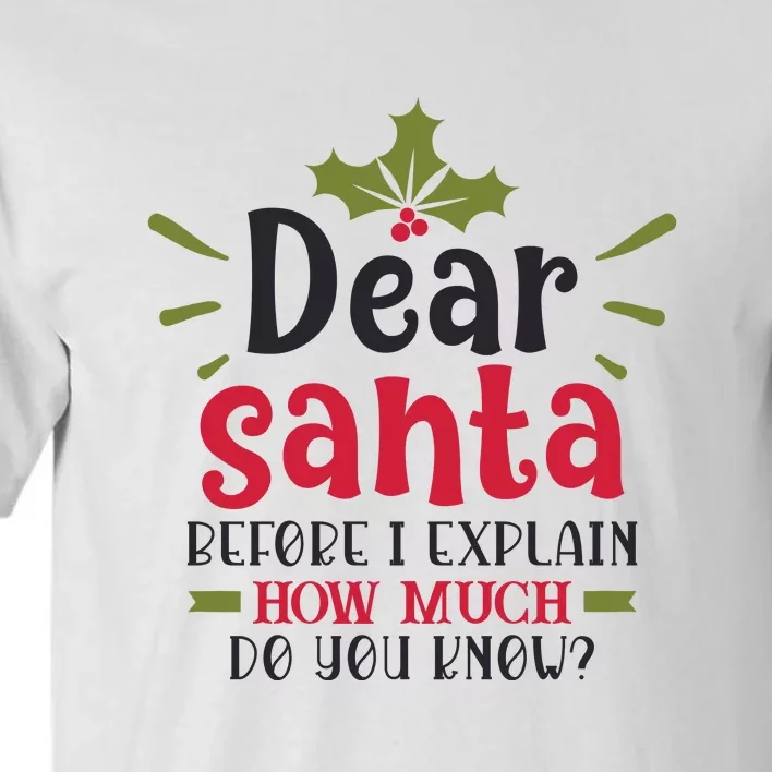 Dear Santa Before I Explain Tall T-Shirt